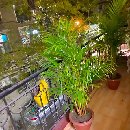 The Super Residency - Near Nizamuddin Markaz & Auliya Dargha New Delhi Room photo